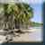 Linya - Einsamer Strand | X: 139 Y: 117