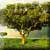 Der einsame Baum | X: 93 Y: 103