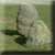 Ruward - Grabsteine | X: 74 Y: 105