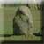 Ruward - Grabsteine | X: 74 Y: 104
