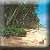 Lardikia - Der Strand | X: 122 Y: 114