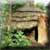 Plefir - Haus der Pilze | X: 79 Y: 110