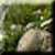 Kuridan - Schroffe Steine | X: 120 Y: 102